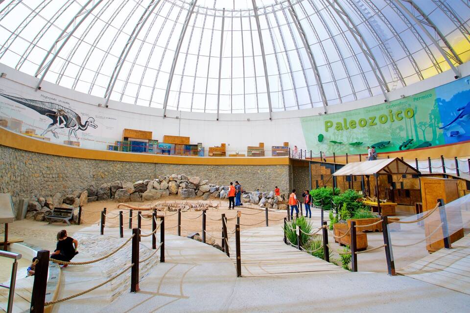 Interior d'un museu amb una gran cúpula de vidre, exposicions a les parets i una zona central d'exhibició amb una paret de pedra i artefactes.