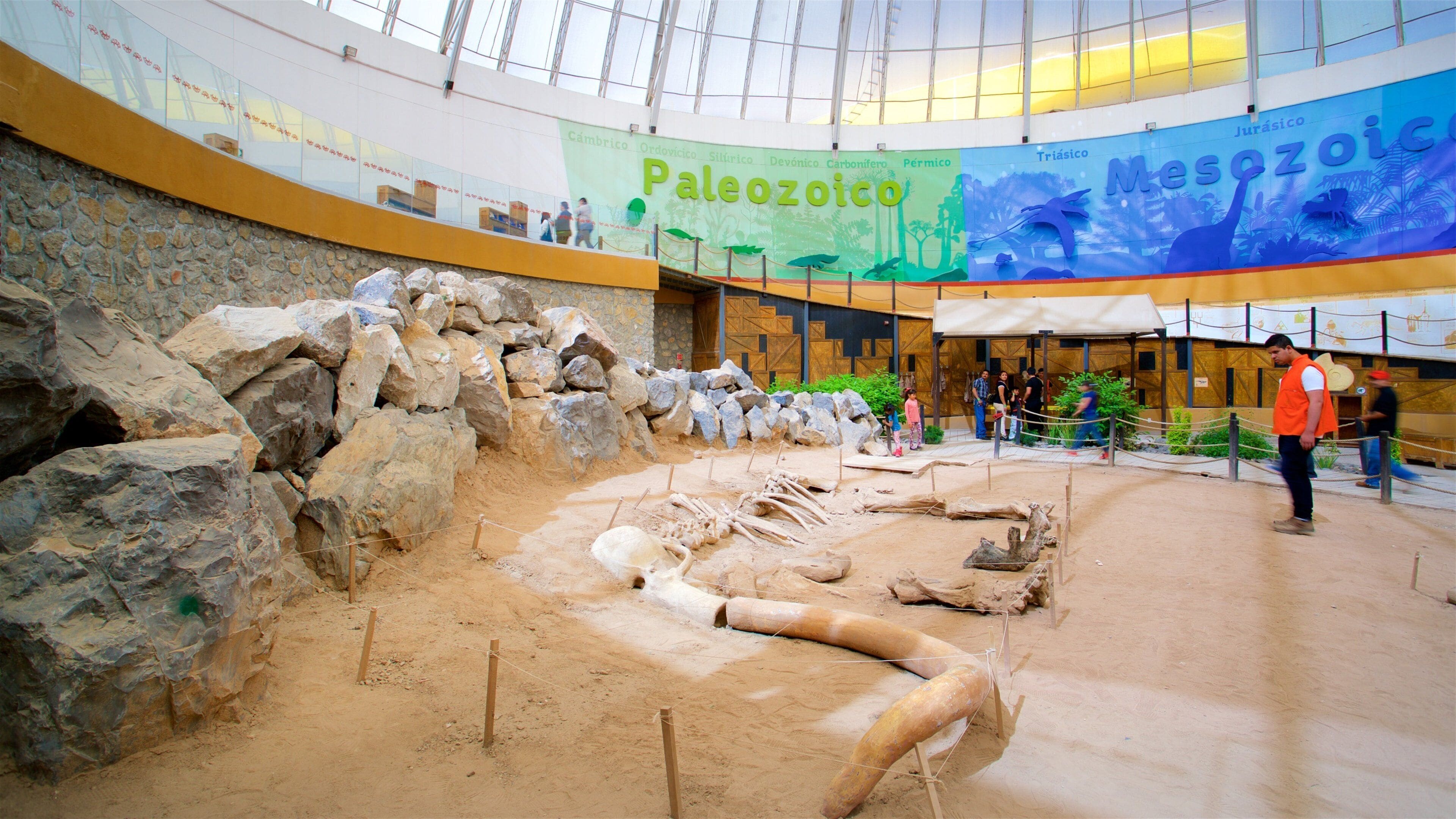 A museum exhibit with a large rock wall and a display of dinosaur bones.