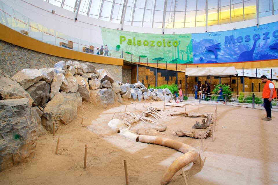 A museum exhibit with a large rock wall and a display of dinosaur bones.