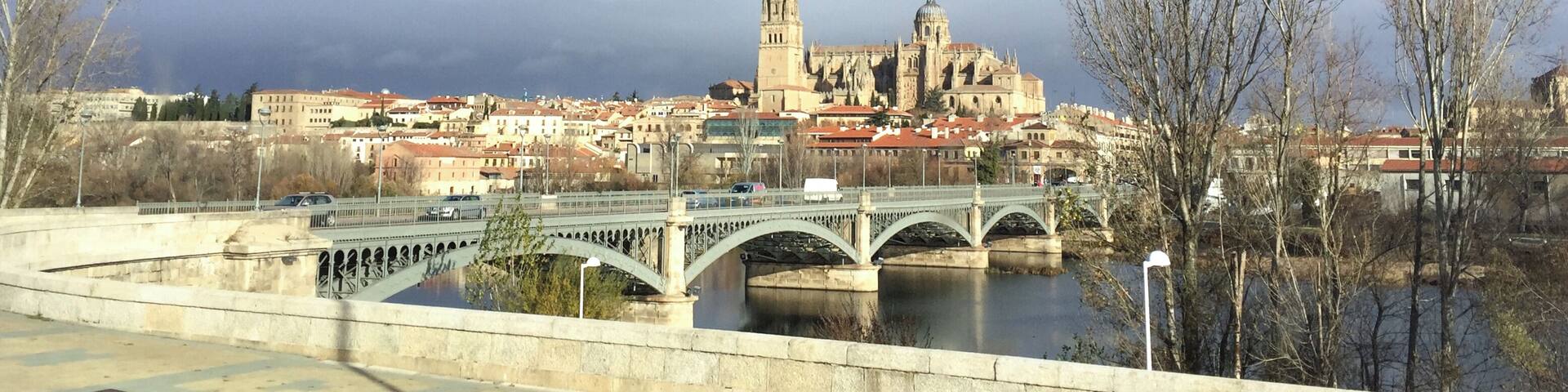 A bridge over a river with a historic building in the background.