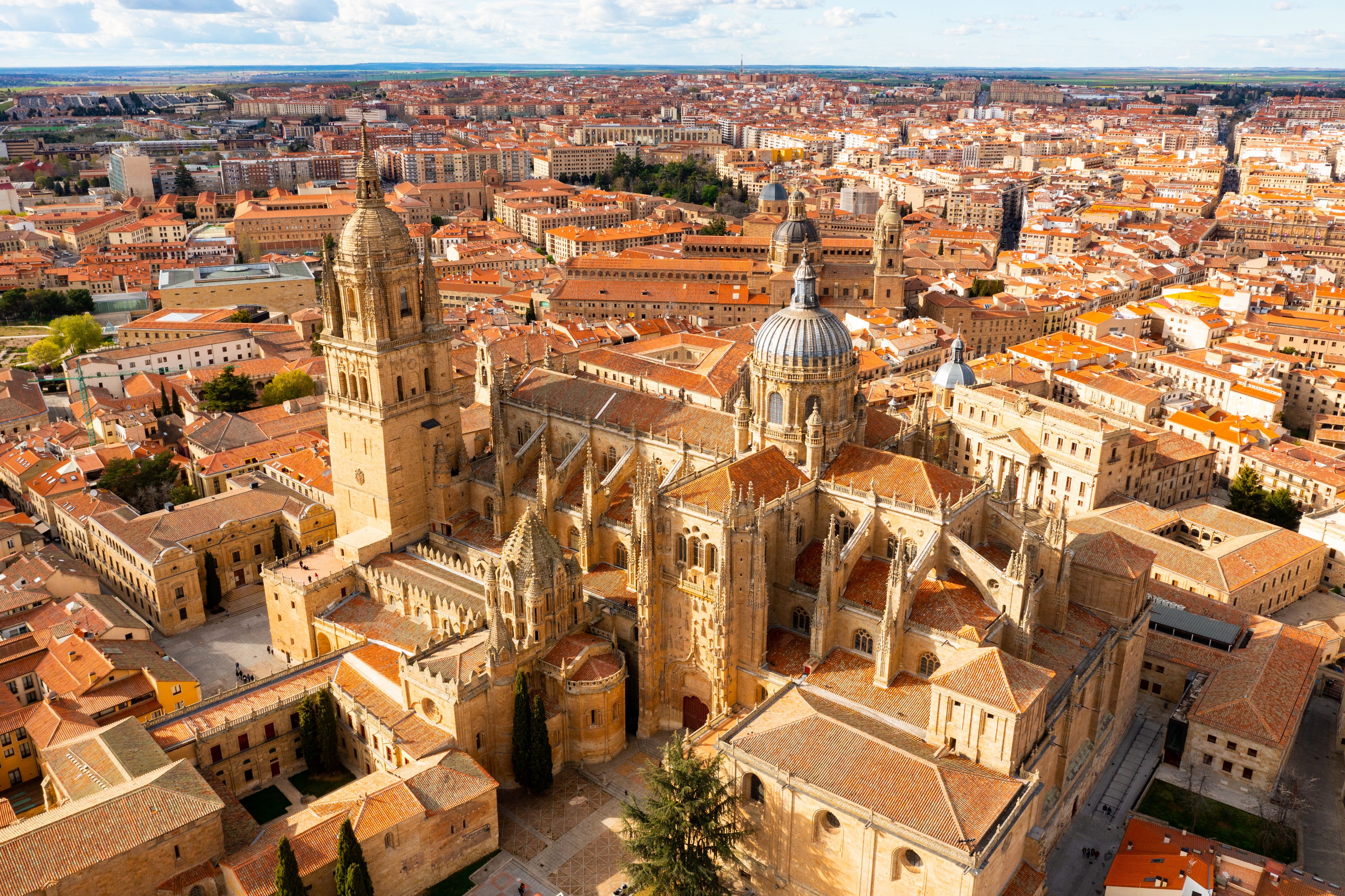 Aerial view of Salamanca with the New Cathedral in the first plan, Spain