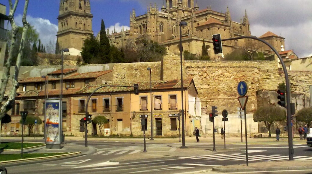 Catedral de Salamanca