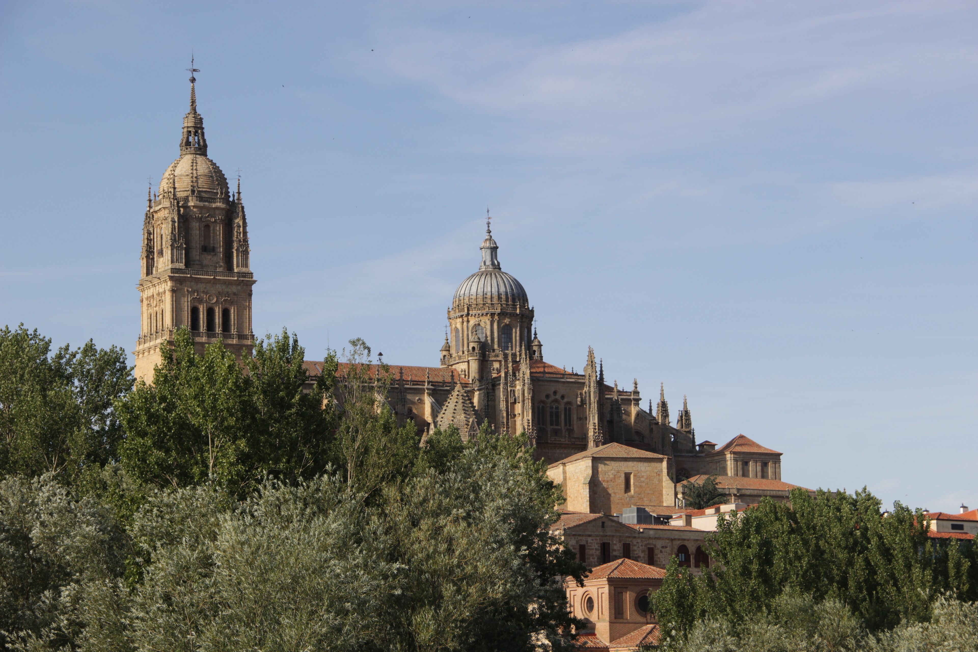 Salamanca seen from the Puente Romano