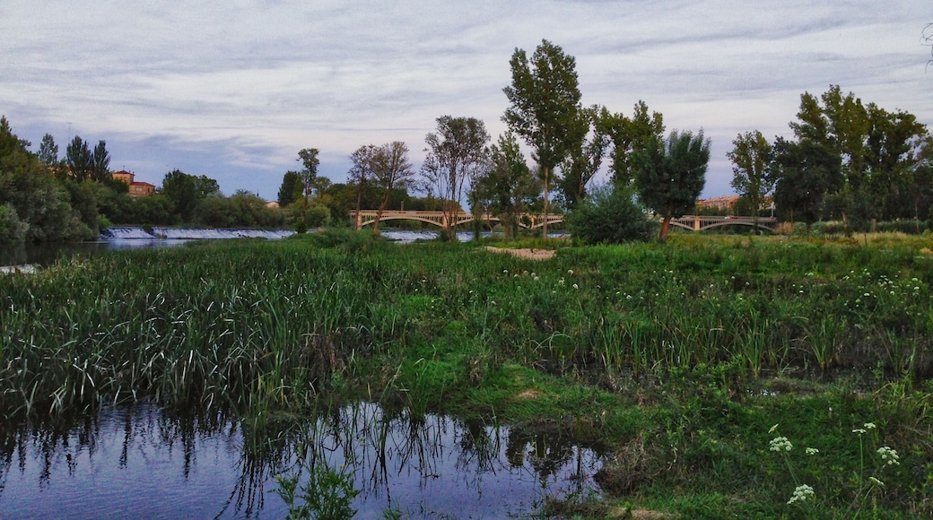 Rio Tormes en Salamanca con pesquera y puente de hierro