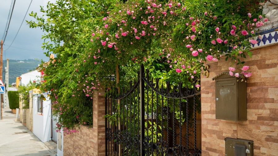 San Rafael de la Albaida