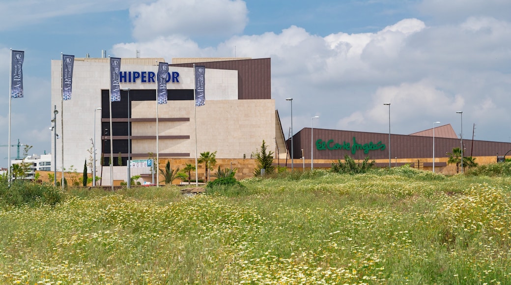 San Rafael de la Albaida