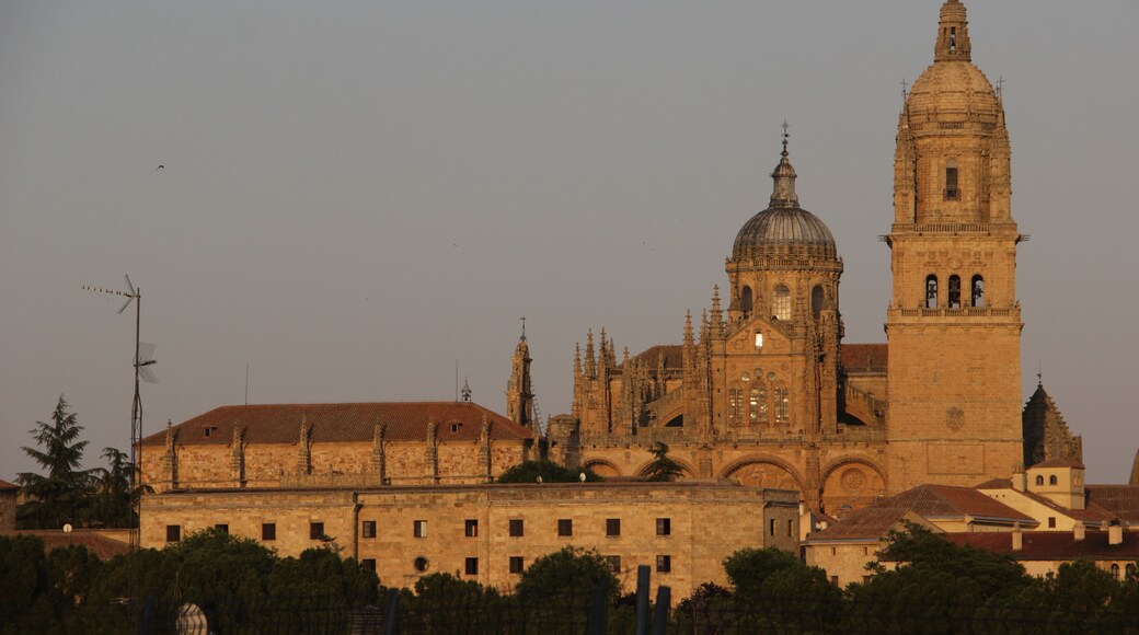 Catedral Nueva de Santa María del Asedio