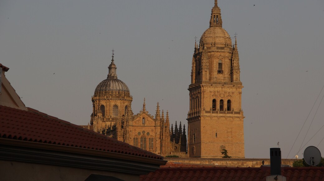 Catedral Nueva, Salamanca