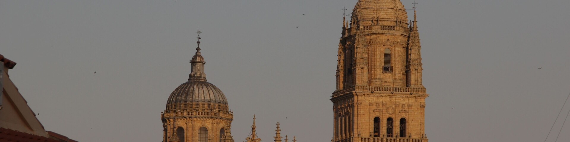 Catedral Nueva, Salamanca