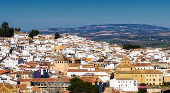 Distrito Norte-Sierra