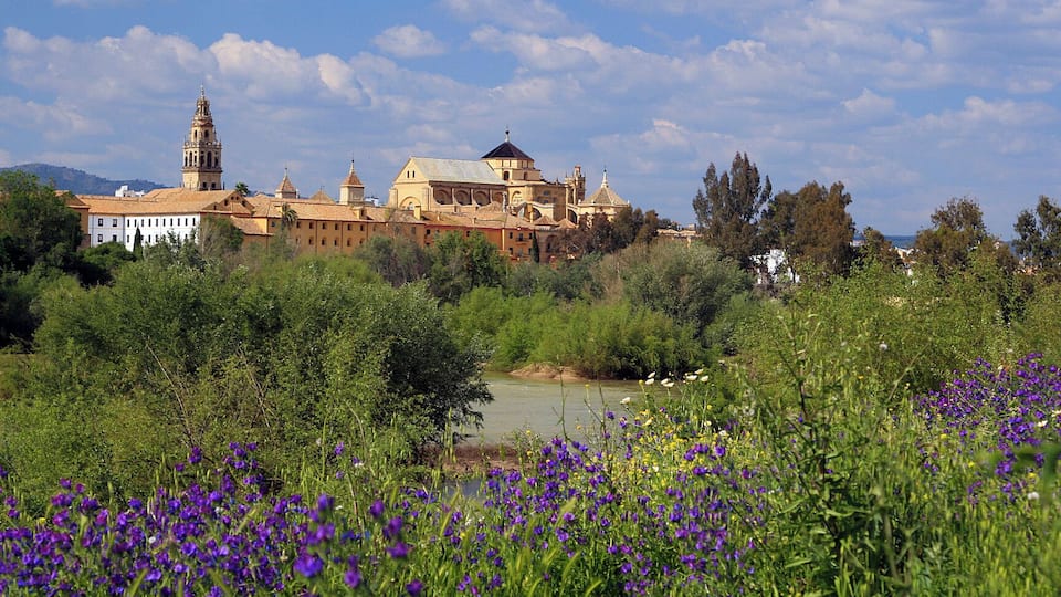 Córdoba (España).