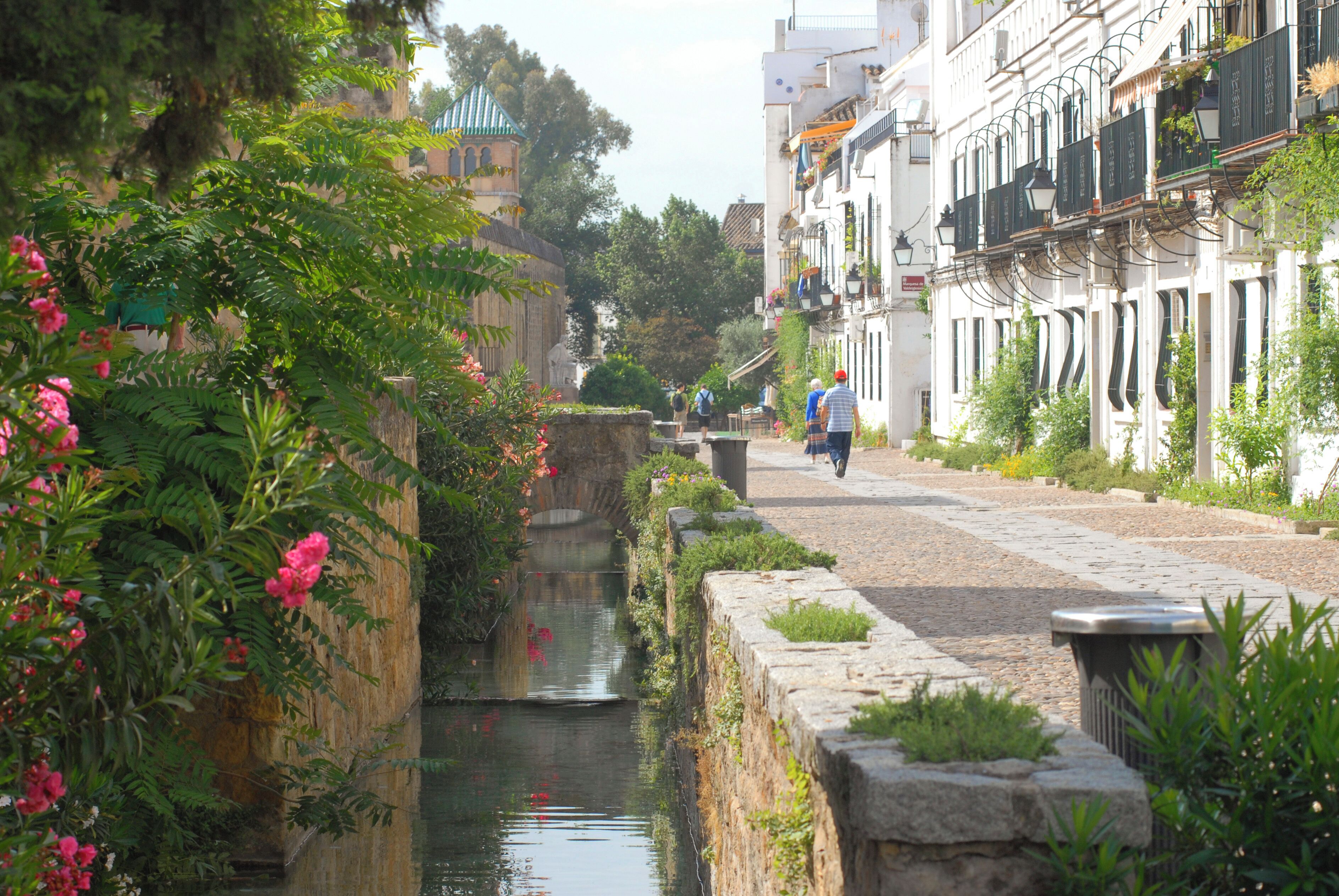 Walkway in Cordoba, Spain