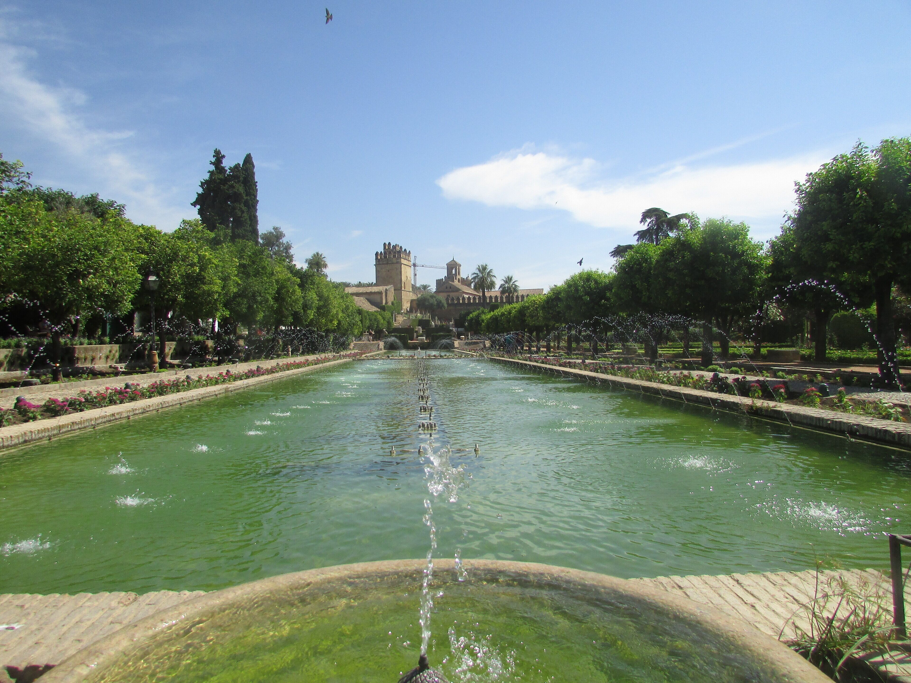 Lower pools in the gardens of the Alcázar de los Reyes Cristianos, within the city of Córdoba, Andalusia, Spain. The gardens are laid out on what was once the vegetable gardens which supplied the Alcázar. The gardens are supplied with water from the Albolafia water mill and consist of terraced pools, fountains and landscaped avenues.
