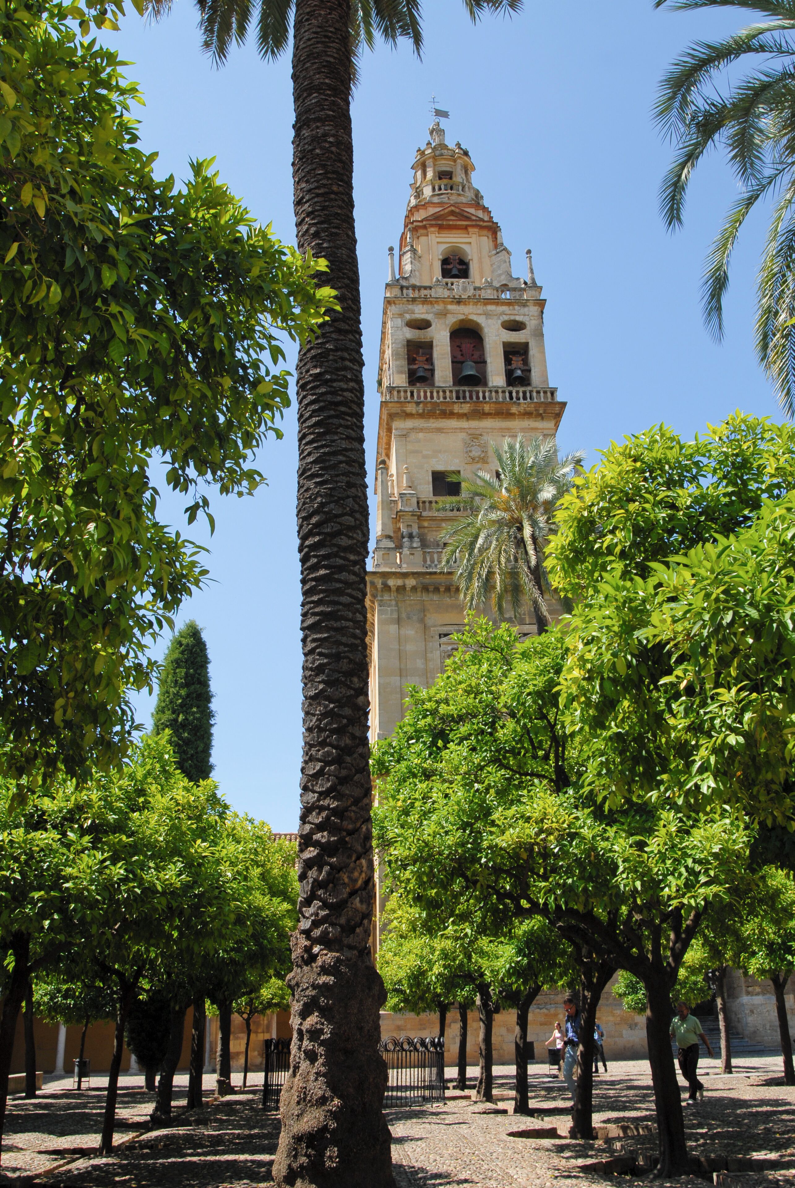 Un edificio histórico con un campanario, rodeado de palmeras y un cielo azul despejado.
