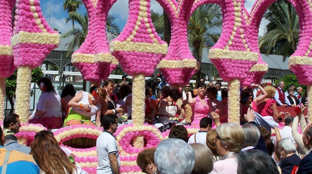 Batalla de las Flores 2007, Córdoba (España).