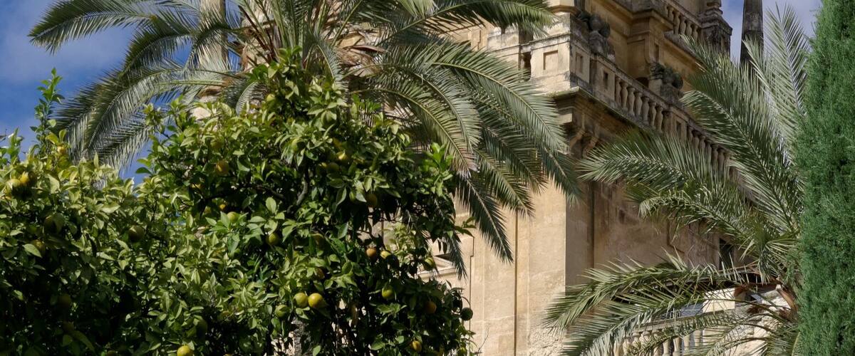Spain, Cordoba, Tower of the Mosque-Cathedral