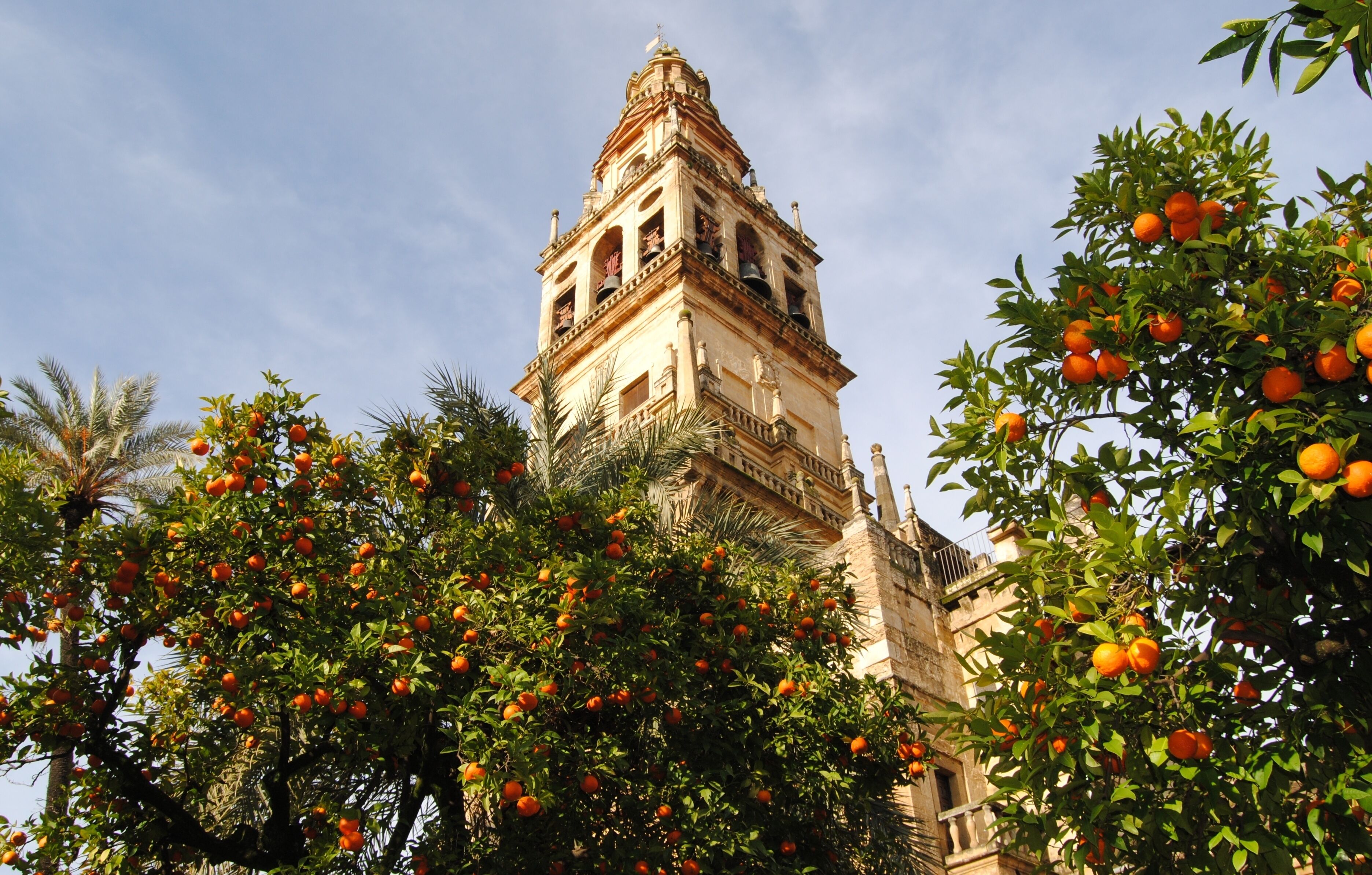 Mezquita Catedral de Córdoba