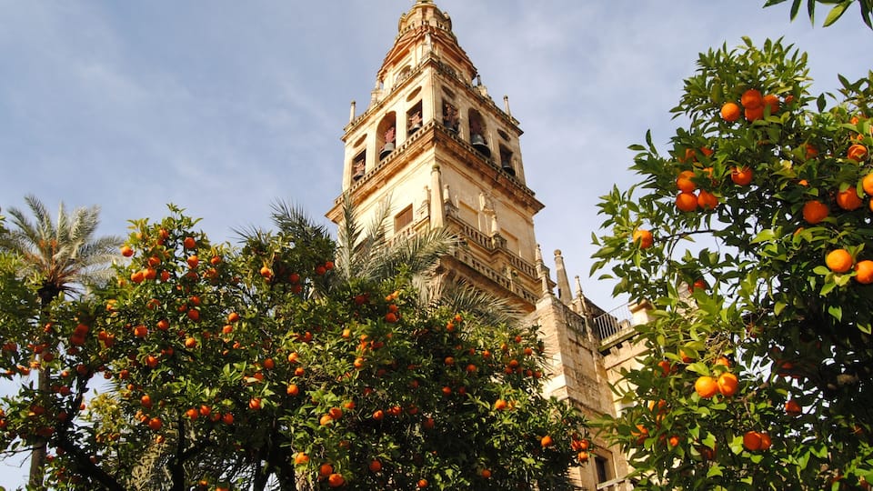 Mezquita Catedral de Córdoba