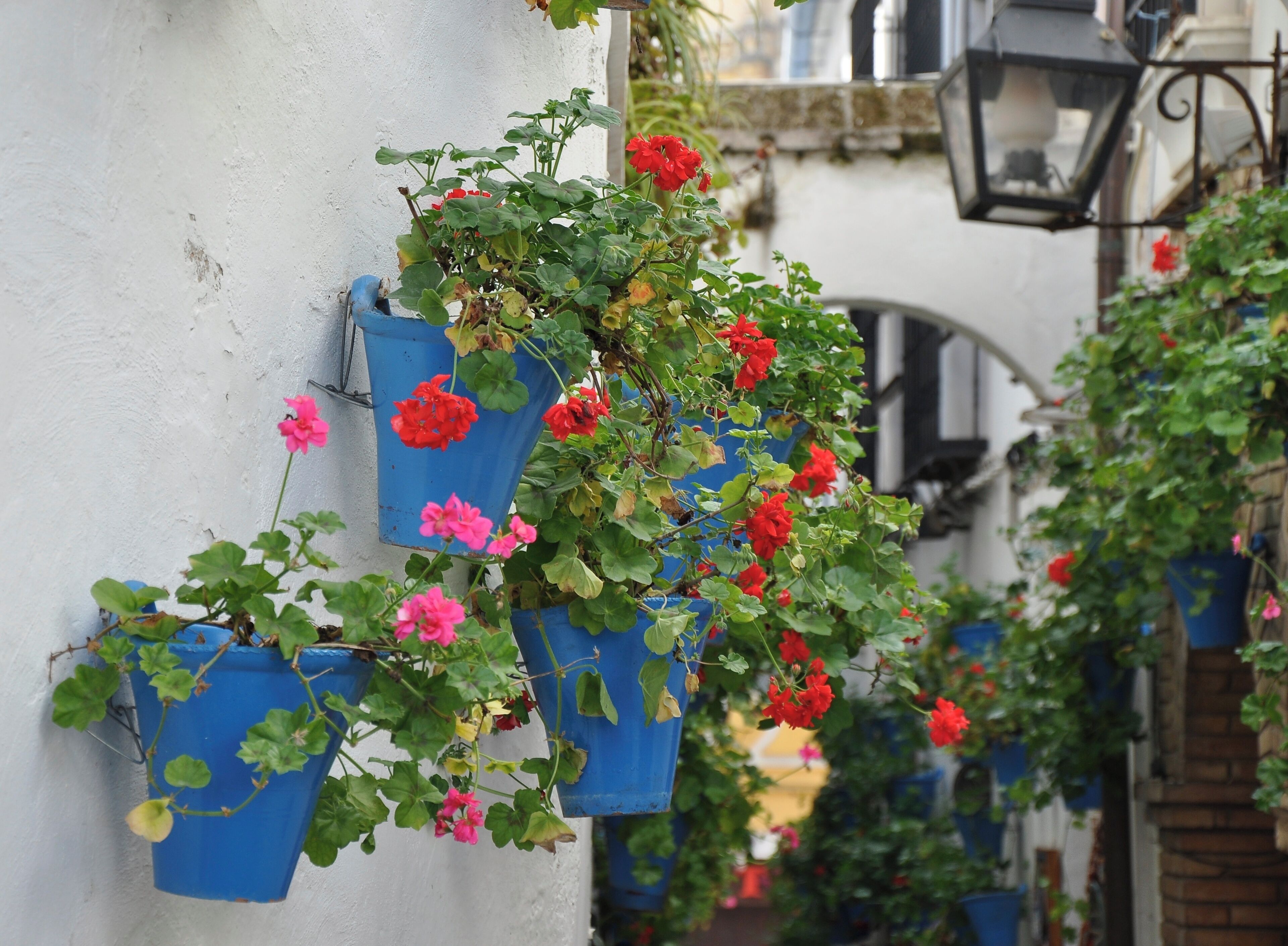 Calleja de las Flores, Córdoba (España).