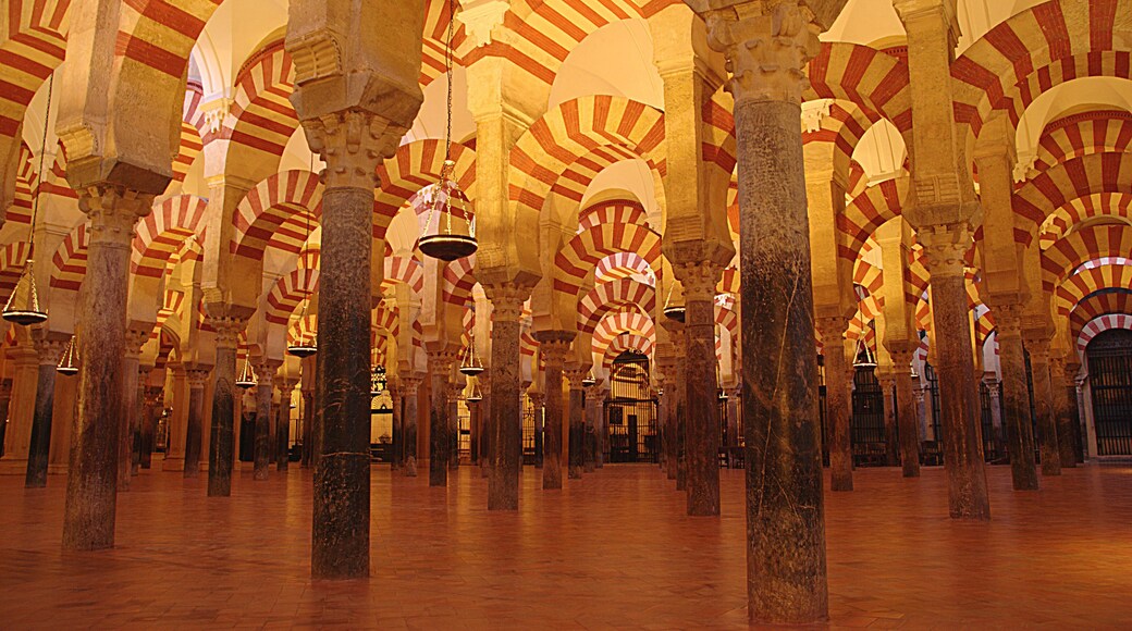 Interior de columnes de la Mesquita de Còrdova