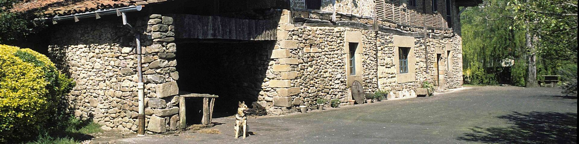 Aliri baserria Zubietan.