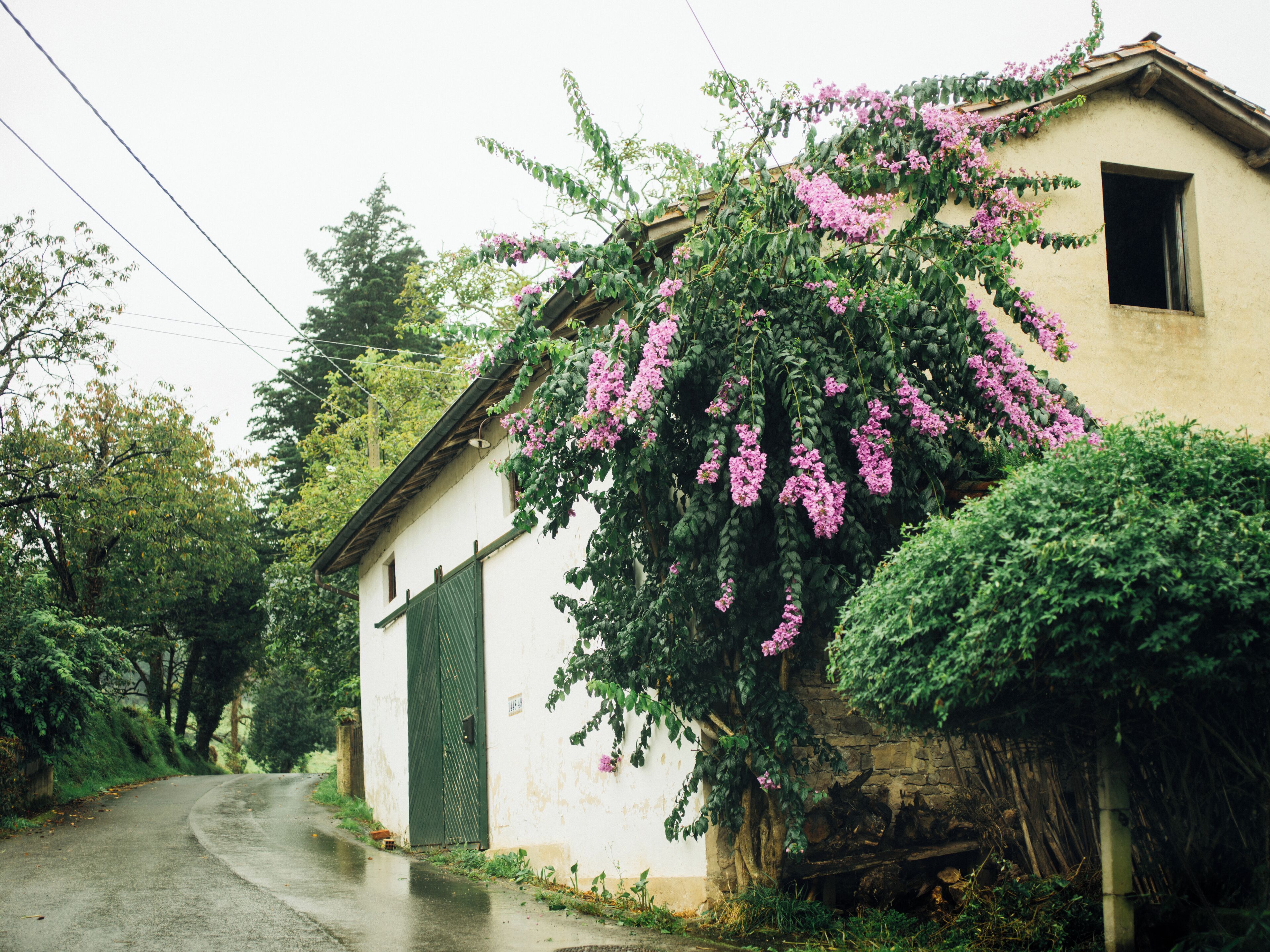 Gijon_DistritoRuralEste_553248633936349945-1