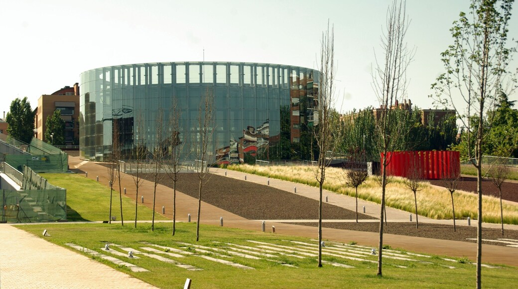 ® M.D. ALCORCON C.R.E.A.A._PANORAMA ◙