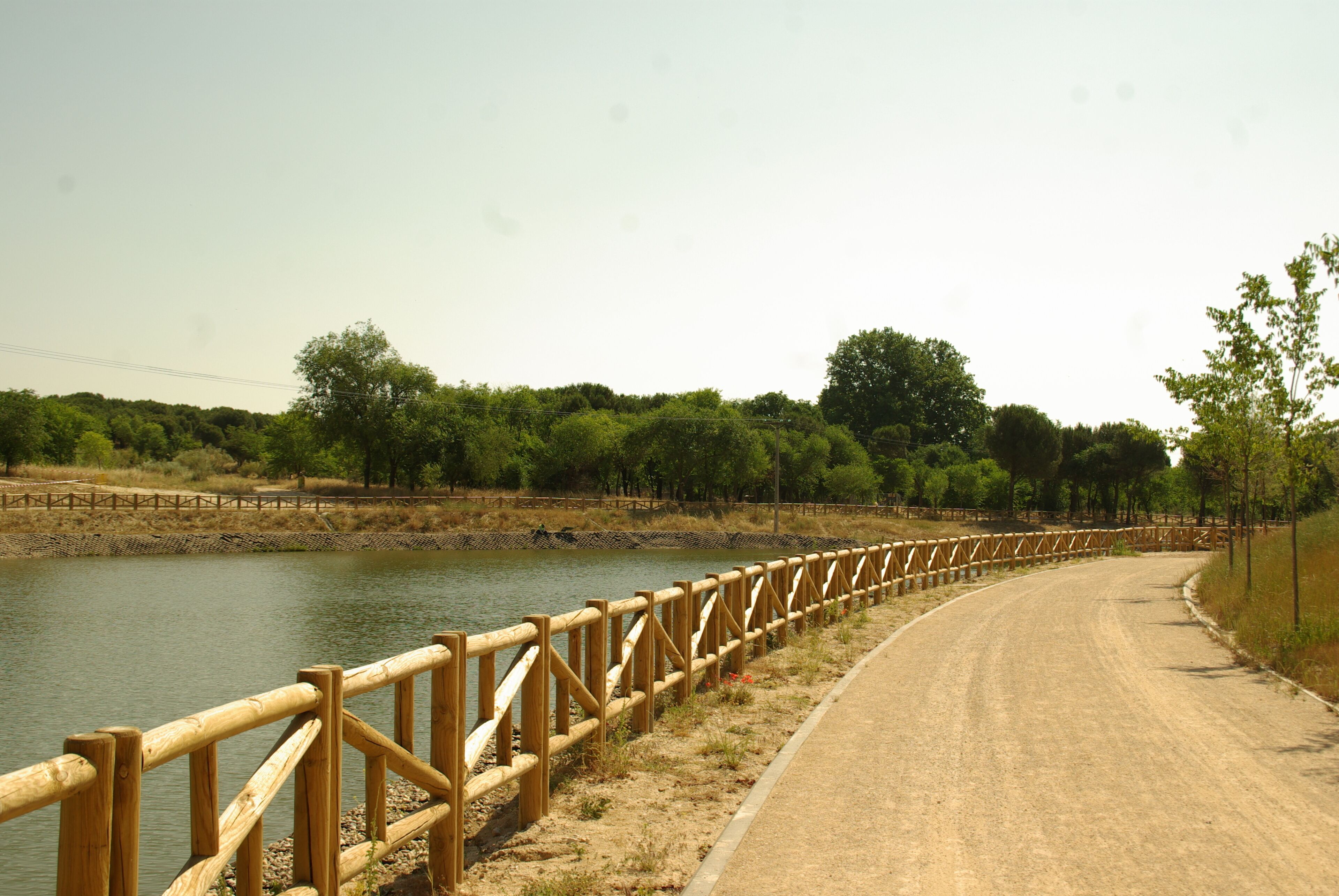 ® ALCORCON P.F.P. PARQUE LAS PRESILLAS-ESTANQUE