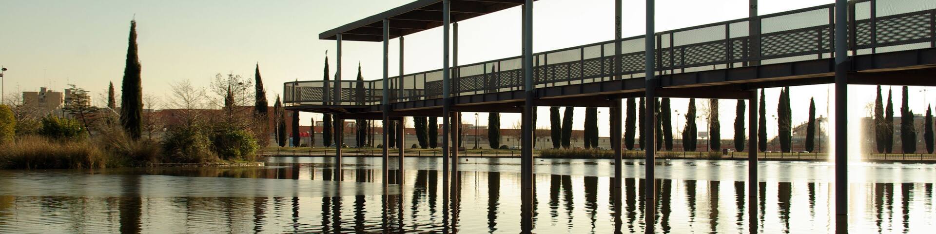A bridge over a calm body of water with tall trees and a clear sky.