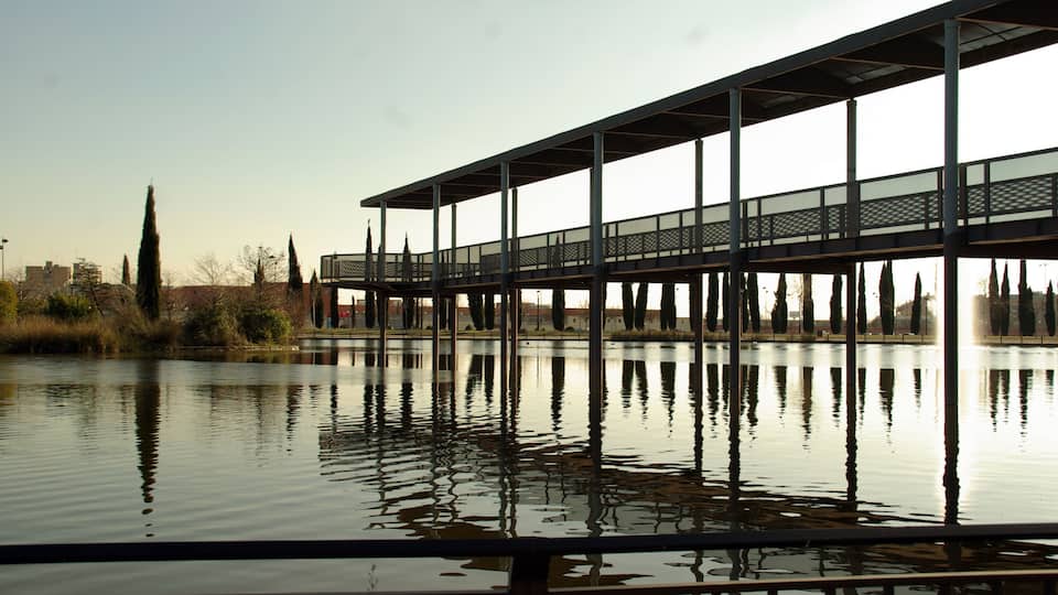 ® M.D. ALCORCON PARQUE MAYARÍ_ ESTANQUE ◙