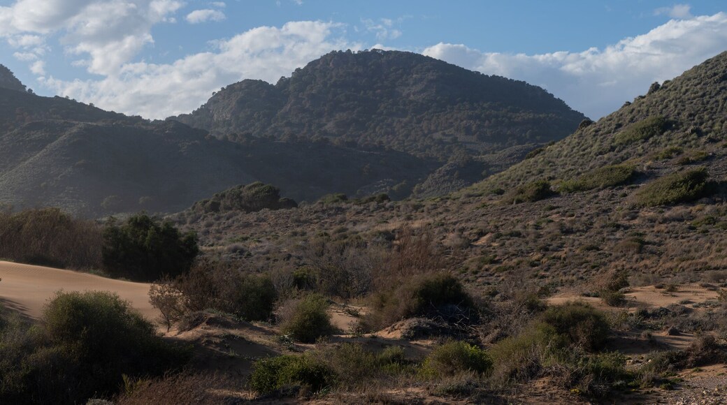 ํค์ ์ด ํธ๋ฃจ์์ค