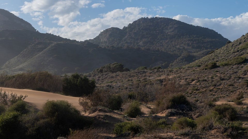 Landscape of Calblanque Beach, Cartagena (Spain)