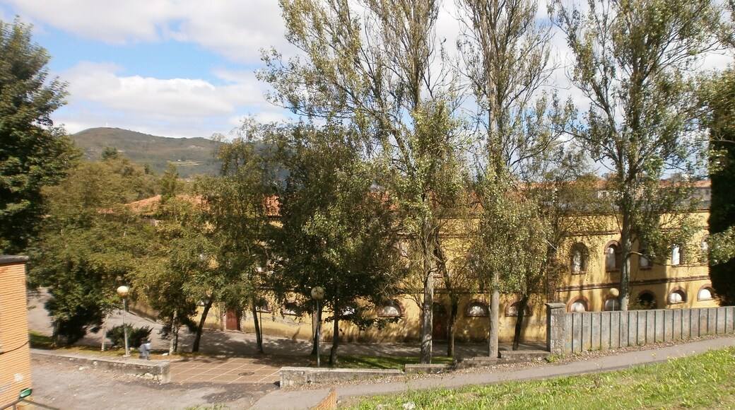 Plaza de toros de Buenavista