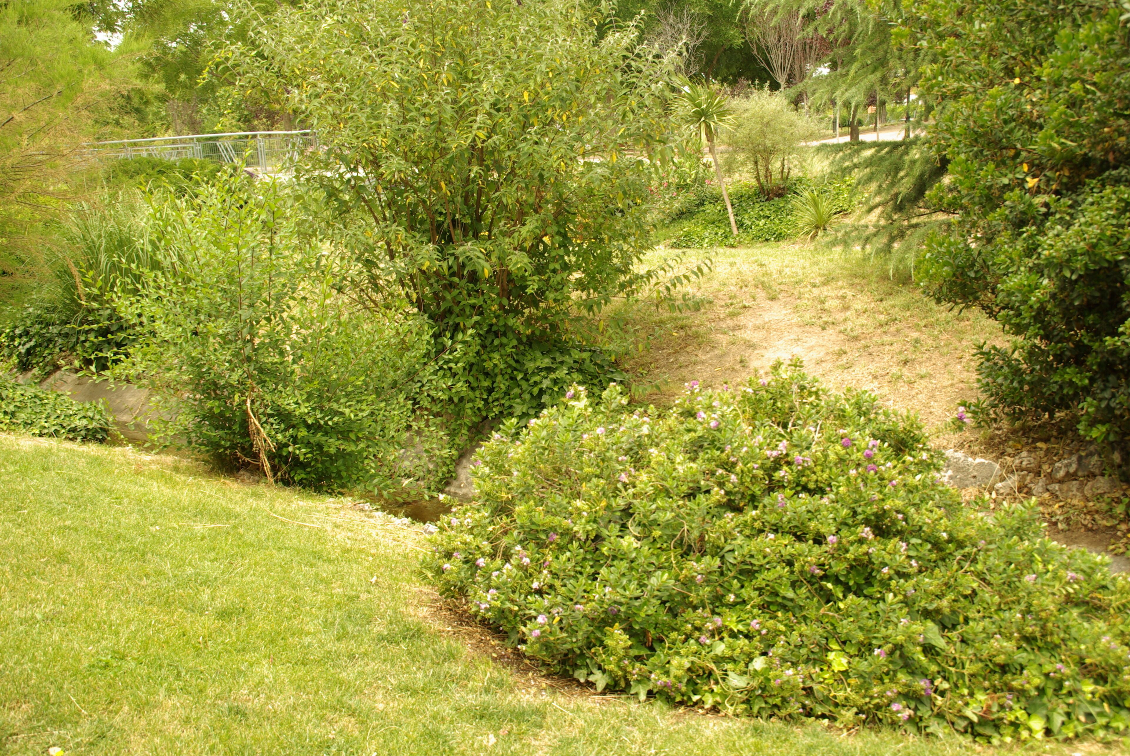 ® ALCORCON A.V.U. PARQUE DE LAS COMUNIDADES-ARBOLEDA