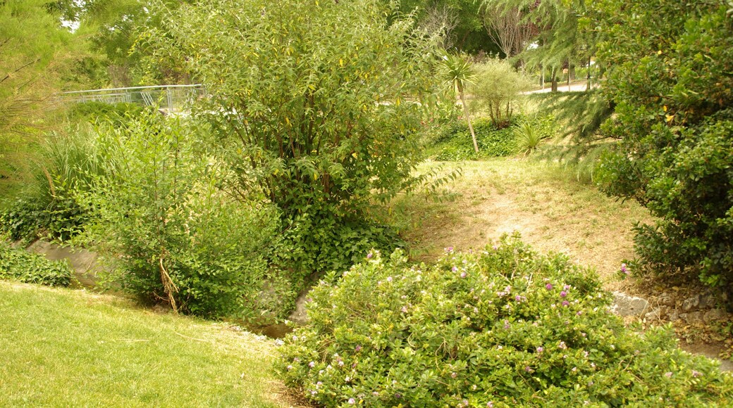 ® ALCORCON A.V.U. PARQUE DE LAS COMUNIDADES-ARBOLEDA