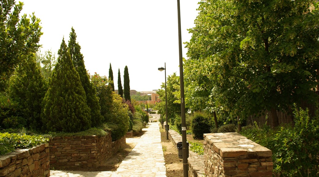 ® ALCORCON A.V.U. PARQUE LAS RETAMAS