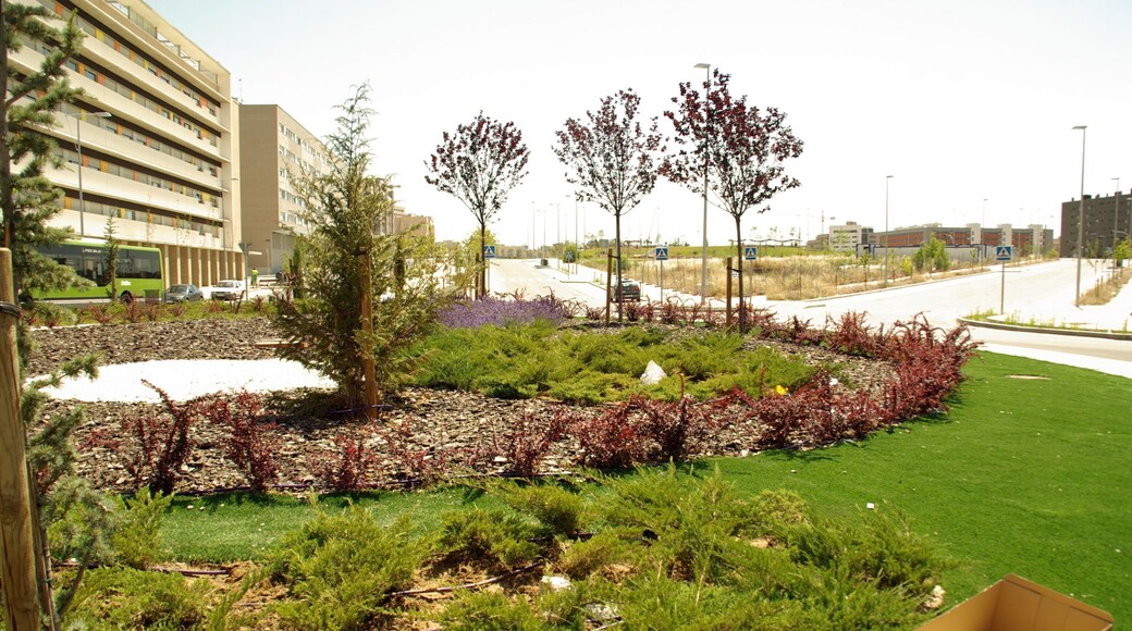 ® M.D. ALCORCÓN AMPLIACION ESTE_GLORIETA ◙