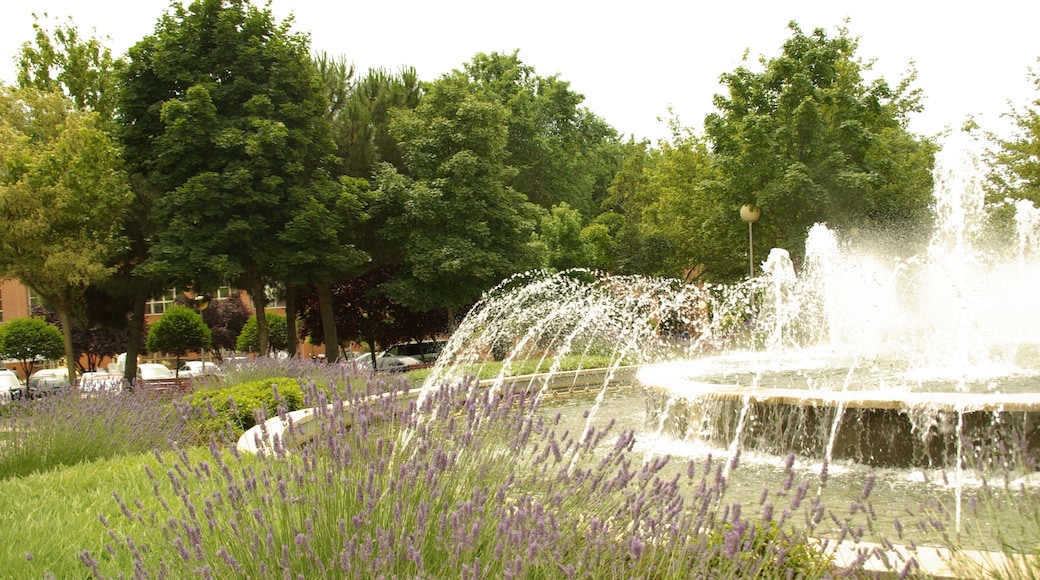 ® ALCORCON F.U.S. PARQUE DE BUERO VALLEJO