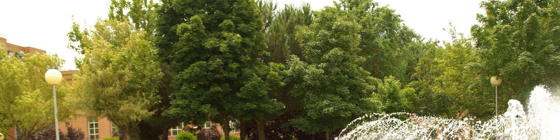 ® ALCORCON F.U.S. PARQUE DE BUERO VALLEJO