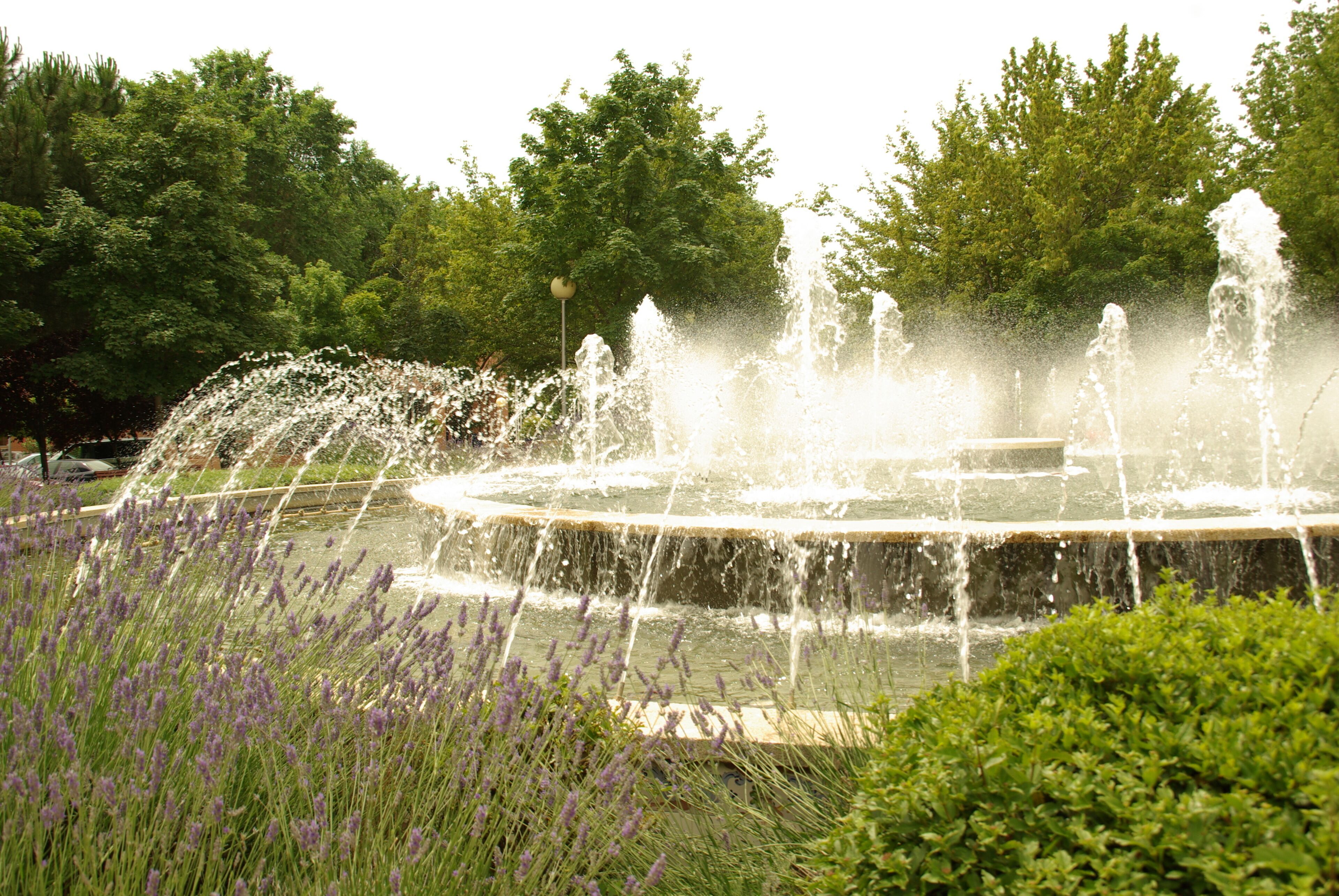 ® ALCORCON F.U.S. PARQUE DE BUERO VALLEJO