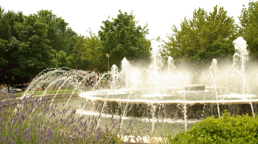 ® ALCORCON F.U.S. PARQUE DE BUERO VALLEJO