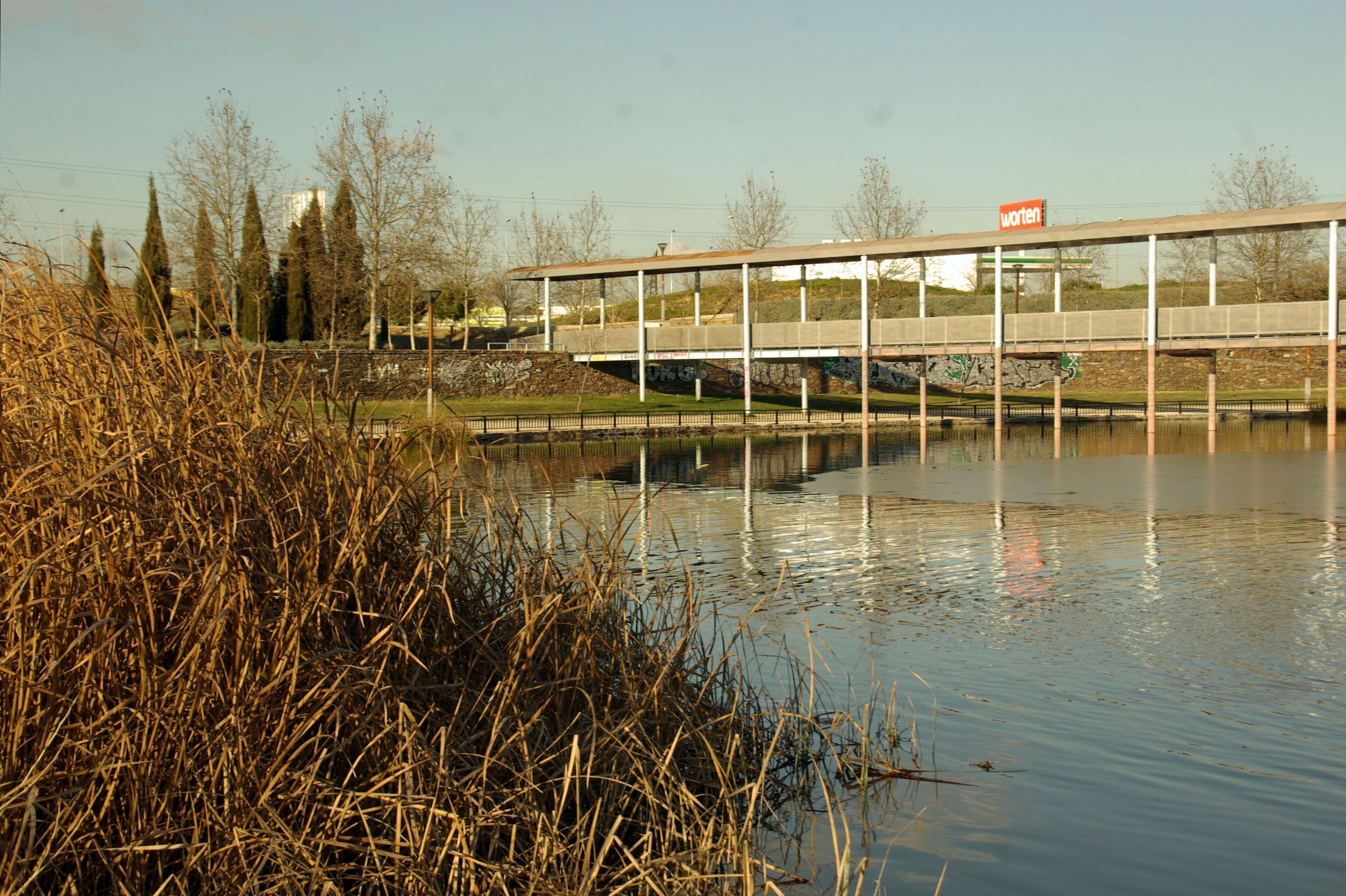 ® M.D. ALCORCON PARQUE MAYARI (OESTE)_ESTANQUE ◙