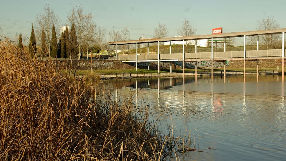 ® M.D. ALCORCON PARQUE MAYARI (OESTE)_ESTANQUE ◙