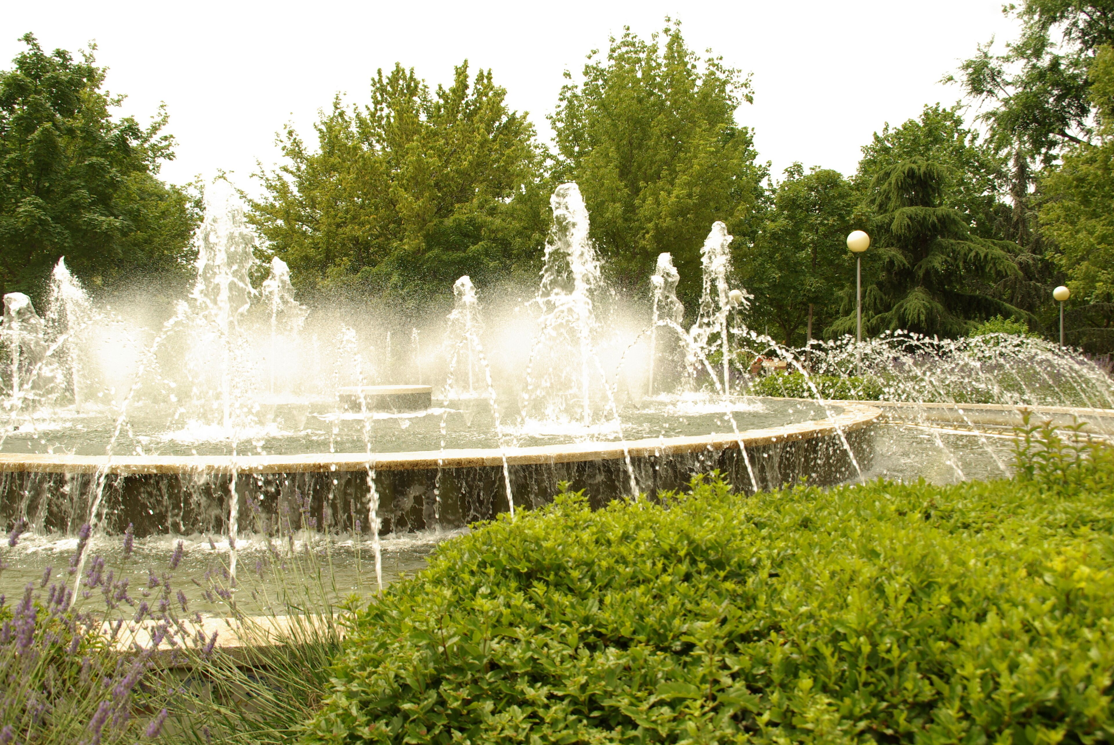 ® ALCORCON F.U.S. PARQUE DE BUERO VALLEJO