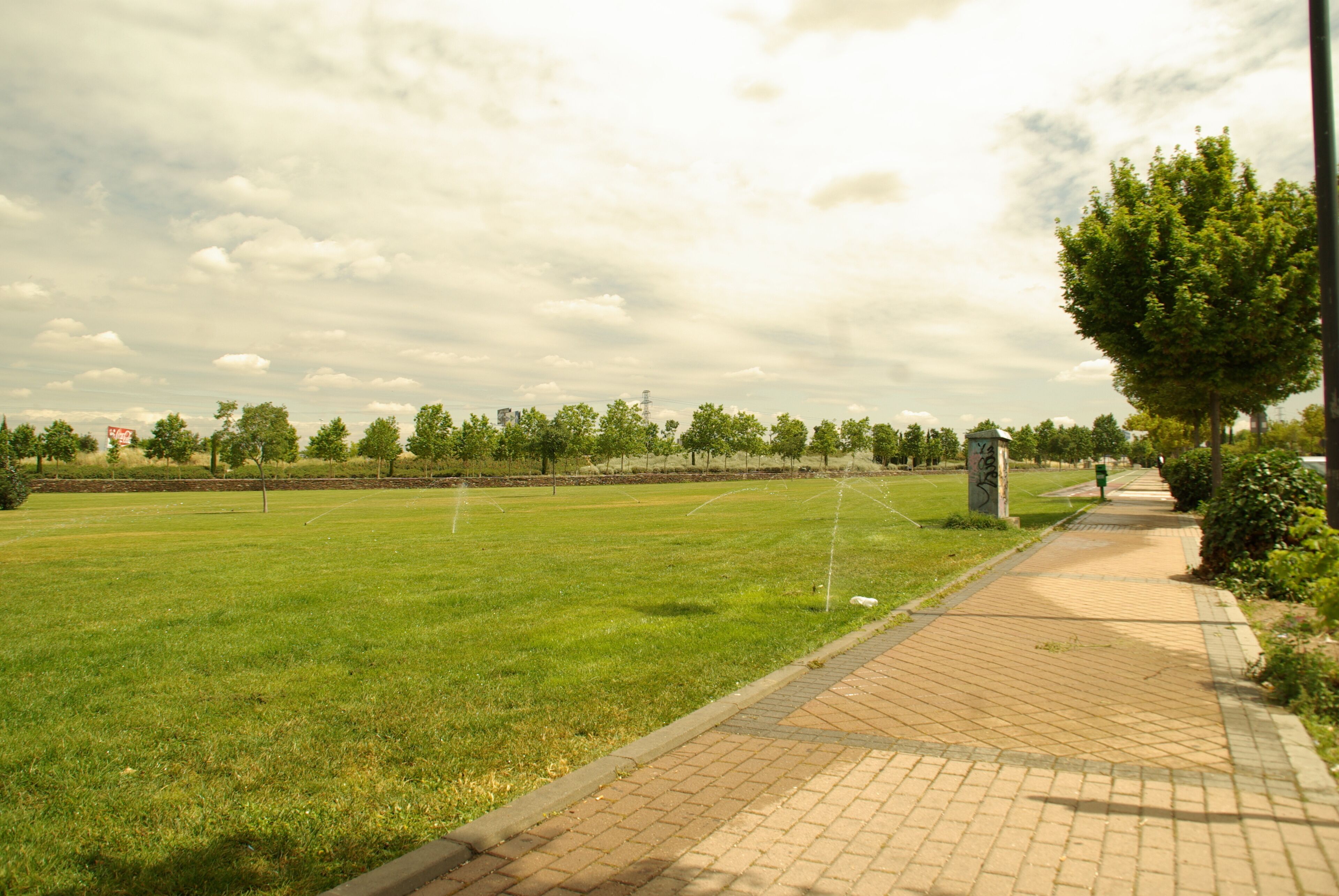 ® ALCORCON A.V.U. PARQUE MAYARÍ-MANTENIMIENTO