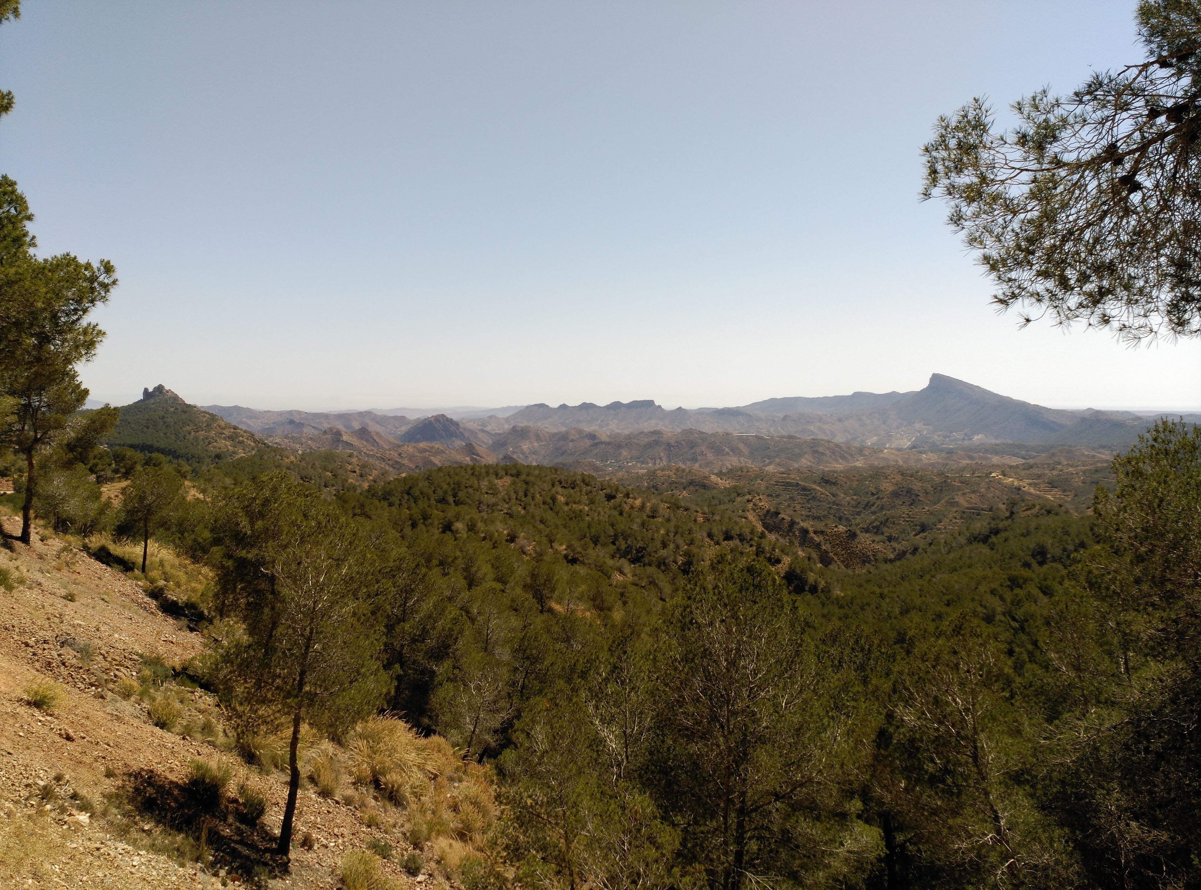 This is a photography of a Site of Community Importance in Spain with the ID: