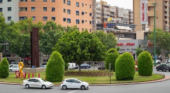 Distrito San Pablo-Santa Justa featuring a garden