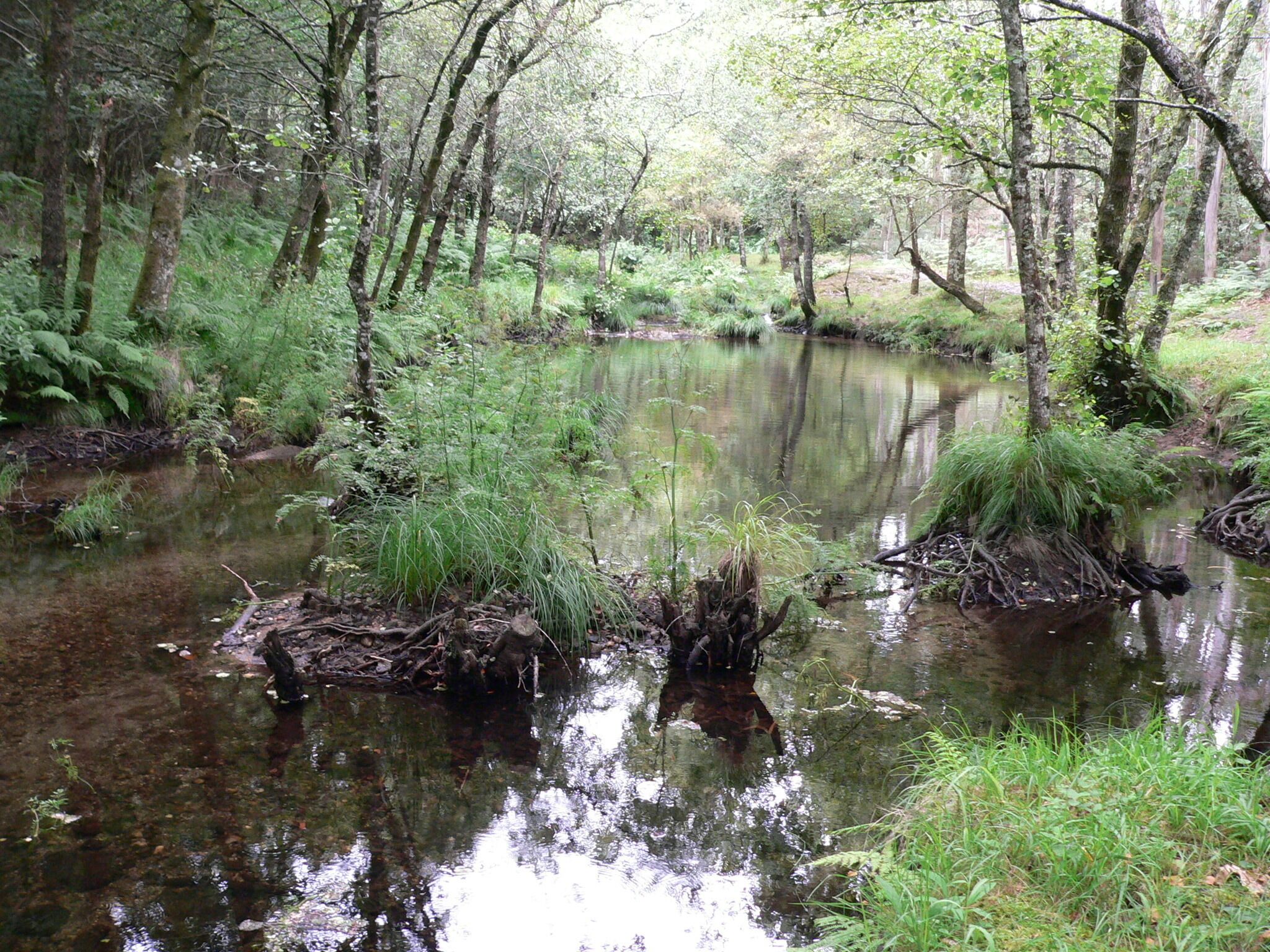 ruta da pedra e da auga, Guitiriz
