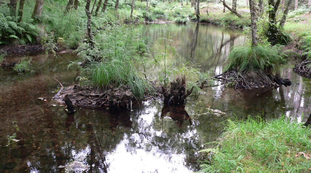 ruta da pedra e da auga, Guitiriz