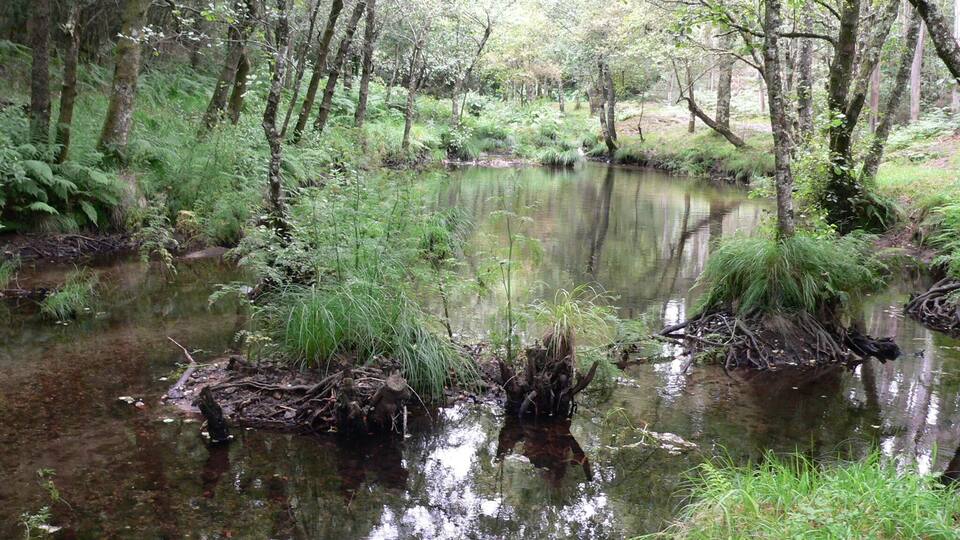 ruta da pedra e da auga, Guitiriz